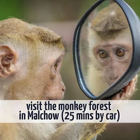 Mit Seeblick - 950 M Zum Hundestrand - Wiesengefluester * Klink