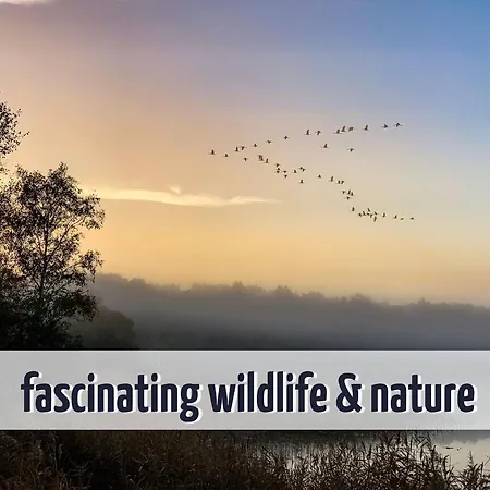 Mit Seeblick - 950 M Zum Hundestrand - Wiesengefluester Appartement Klink