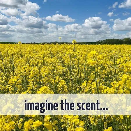 Mit Seeblick - 950 M Zum Hundestrand - Wiesengefluester Appartement