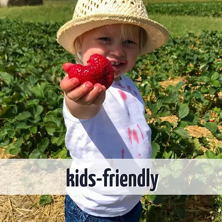 Mit Seeblick - 950 M Zum Hundestrand - Wiesengefluester Appartement Klink