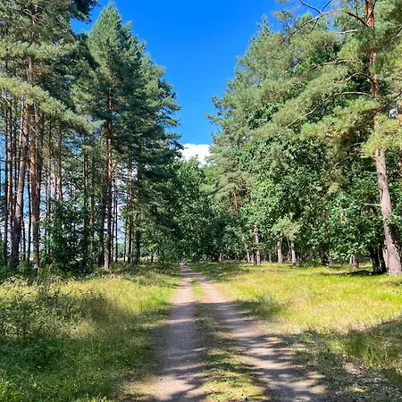 Mit Seeblick - 950 M Zum Hundestrand - Wiesengefluester *