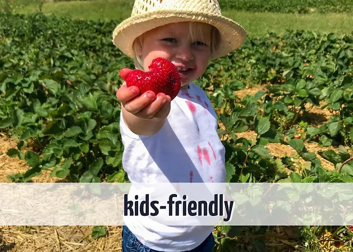 Mit Seeblick - 950 M Zum Hundestrand - Wiesengefluester شقة كلينك